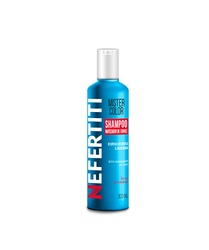 SHAMPOO MISTER COLOR MATIZADOR DE CANAS