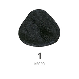 [8022297202280] TINTE COLOR AMORE ALFAPARF #1 (8022297127910)