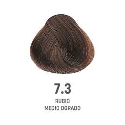 [8022297128047] TINTE COLOR AMORE ALFAPARF #7.3