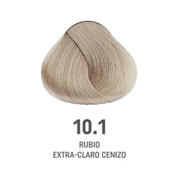 [8022297202464] TINTE COLOR AMORE ALFAPARF #10.1  (8022297128115)