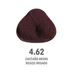 [8022297128221] TINTE COLOR AMORE ALFAPARF #4.62